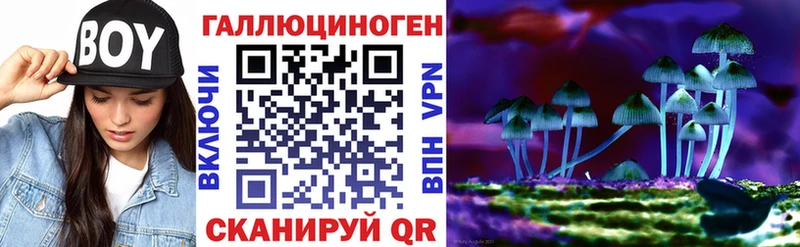 где продают наркотики  Чехов  Галлюциногенные грибы GOLDEN TEACHER 